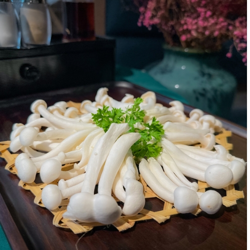 Nấm linh chi