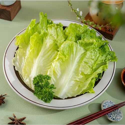 Rau diếp